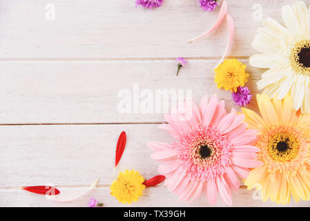 Gerbera fleurs de printemps sur fond coloré en bois blanc Banque D'Images