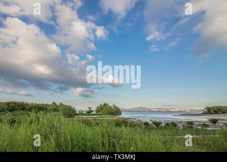 Ciel bleu, nuages blancs, la Baie de Shenzhen Banque D'Images