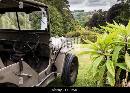 La DEUXIÈME GUERRE MONDIALE un vintage Willys Jeep garée sur la pelouse donnant sur jardin Trebah à Cornwall. Banque D'Images