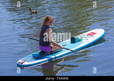 Femme paddleboarder paddle boarder à genoux détente sur paddleboard paddle board sur Dorset Canot Journée à Rivière Stour, Iford, Dorset UK en Juin Banque D'Images
