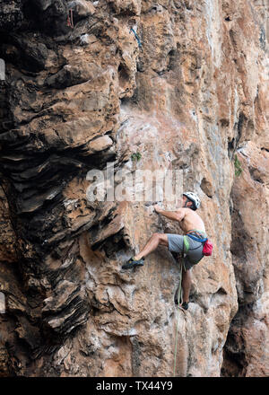 La Thaïlande, Krabi, Thaiwand wall, Aptenodytes forsteri alpiniste dans Rock Wall Banque D'Images