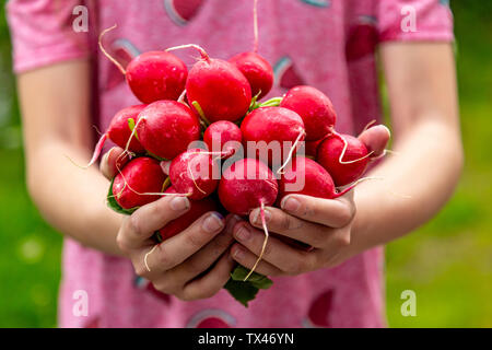 Close-up of girl holding red radish Banque D'Images