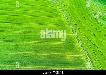 Allemagne, Bade-Wurtemberg, Rems-Murr-Kreis, vue aérienne du domaine vert au printemps Banque D'Images