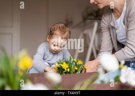 Mère et fille, planter des fleurs ensemble à la maison Banque D'Images