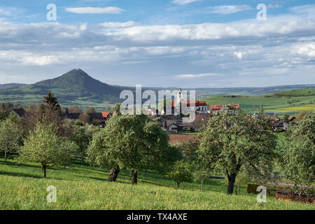 Allemagne, Weiterdingen, prairie parsemée d'arbres fruitiers et d'Hegau volcan au retour Banque D'Images