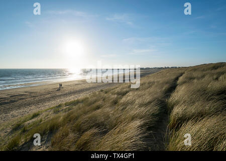 Traeth Llydan près de conseil informatique sur Anglesey au nord du Pays de Galles UK Banque D'Images