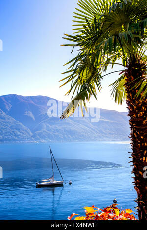 Bateau à voile sur le Lac Majeur, Lugano, Tessin, Suisse Banque D'Images