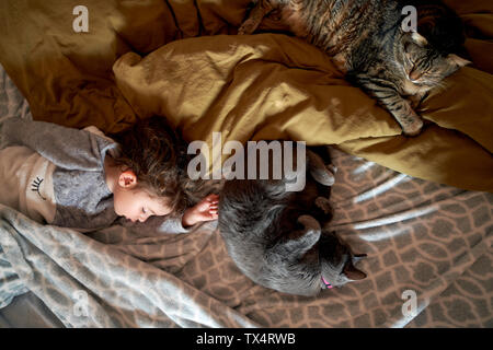 Bébé fille et deux chats dormir sur lit, vue d'en haut Banque D'Images