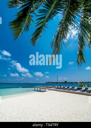 Maledives, Ross Atoll, des chaises longues à la plage Banque D'Images