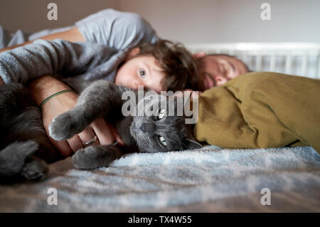 Portrait de chat gris reposant sur le lit avec bébé fille et père Banque D'Images