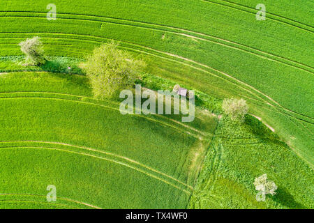 Allemagne, Bade-Wurtemberg, Rems-Murr-Kreis, vue aérienne du domaine vert au printemps Banque D'Images