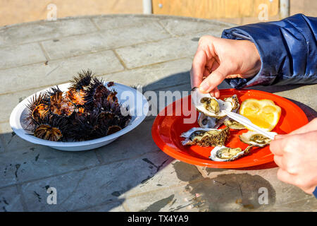 Manger des oursins (ricci di mare ) et les huîtres dans le marché aux poissons du port de Bari, Pouilles, Italie du Sud. Attraction principale pour les touristes Banque D'Images