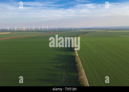 Allemagne (Saxe-Anhalt), vue aérienne de champs d'éoliennes avec en arrière-plan Banque D'Images