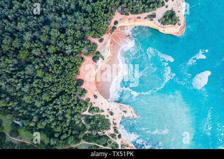 Portugal, Algarve, Lagoa, Praia da Corredoura, vue aérienne de la forêt, côte rocheuse et mer Banque D'Images