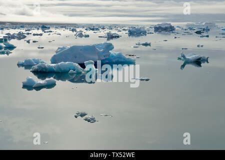 Le Groenland, l'Est du Groenland, Johan Petersens Fjord, icebergs et banquise Banque D'Images