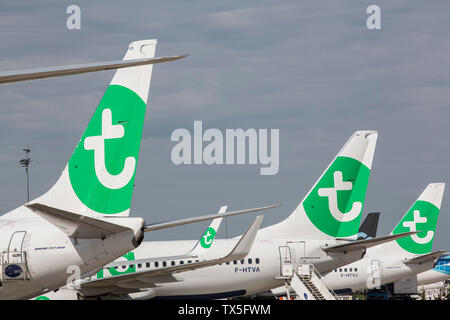 Des avions de Transavia à l'aéroport d'ORLY Banque D'Images