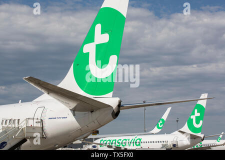 Des avions de Transavia à l'aéroport d'ORLY Banque D'Images