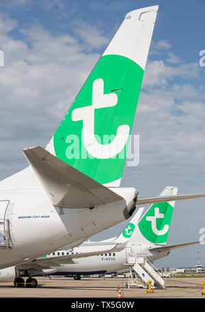 Des avions de Transavia à l'aéroport d'ORLY Banque D'Images