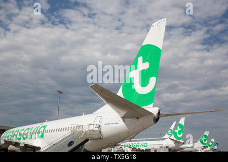 Des avions de Transavia à l'aéroport d'ORLY Banque D'Images