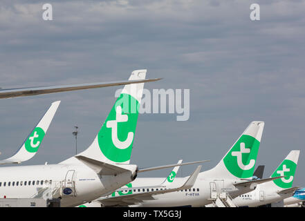 Des avions de Transavia à l'aéroport d'ORLY Banque D'Images