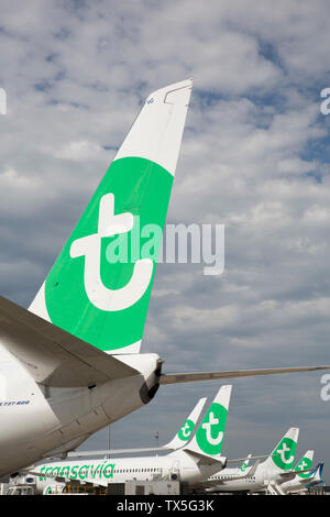 Des avions de Transavia à l'aéroport d'ORLY Banque D'Images