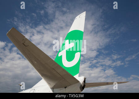 Des avions de Transavia à l'aéroport d'ORLY Banque D'Images