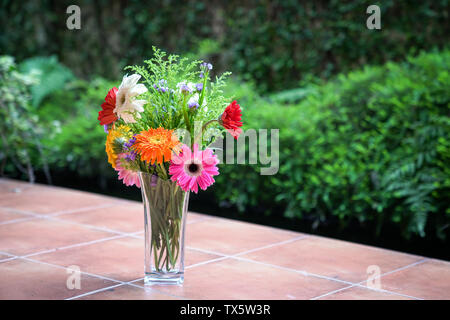 Gerbera coloré dans un vase avec green nature background Banque D'Images