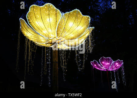 (190624) -- BUCAREST, 24 juin 2019 (Xinhua) -- Photo prise le 23 juin 2019 montre la lanterne Zigong exposition '20 légendes" au Musée-village ASTRA de Sibiu, Roumanie. Le bar en plein air, le Musée ASTRA Village dans la banlieue de Sibiu en Roumanie centrale était allumé tard dimanche par 20 ensembles de grandes lanternes colorées de Zigong, au sud-ouest d'une ville chinoise célèbre pour sa culture.La Lanterne lanterne exposition est l'événement principal de la "saison" chinois a lancé cette année au Festival International de Théâtre de Sibiu, pour marquer le 70e anniversaire de l'établissement de relations diplomatiques entre C Banque D'Images