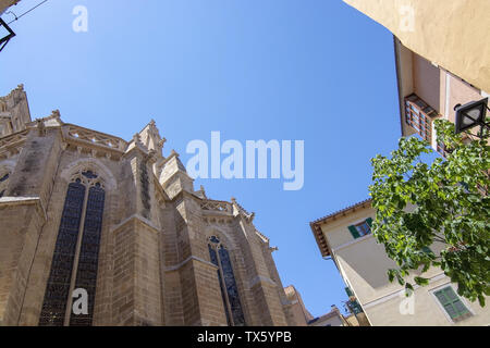 PALMA, Majorque, Espagne - 20 MAI 2019 : Basilica Sant Francesc détail contre le ciel le 20 mai 2019 à Palma, Majorque, Espagne. Banque D'Images