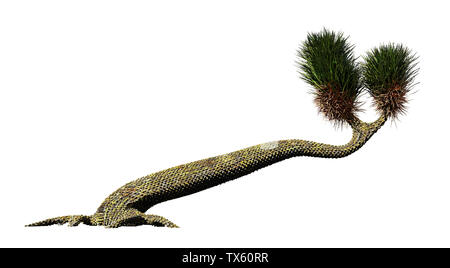 Sigillaria, arbre plante du Carbonifère et Permien isolé sur fond blanc Banque D'Images