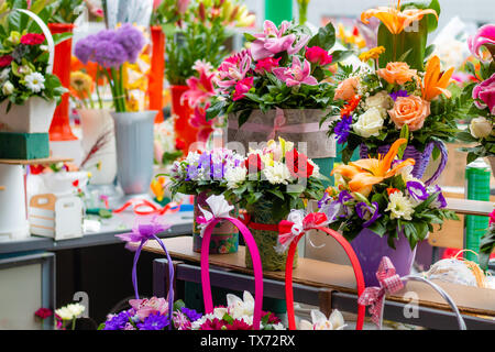 Divers arrangements de fleurs dans de petits pots décoratifs sur le marché à l'encontre de Belgrade. Banque D'Images