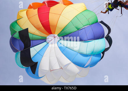 Parasales - parachutes de l'eau pour les activités de plein air. Dans le ciel bleu de l'eau un triple parachute. Des couleurs vives. Parapentiste avec une selle pour les gens. Banque D'Images