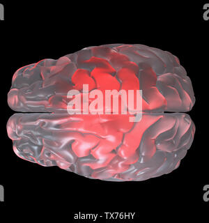 Rendu 3D précis médicalement illustration d'un cerveau en verre lumineux rouge Banque D'Images