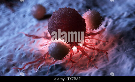 Médicalement en rendu 3d illustration précise de globules blancs qui attaquent une cellule de cancer Banque D'Images