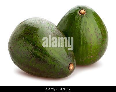 Avozilla chemin avocat isolated on white Banque D'Images