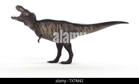 Rendu 3d illustration d'un T-rex Banque D'Images