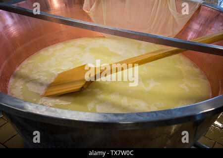 La fabrication du fromage parmesan dans une petite fromagerie de la Modena Hills, en remuant les pommes Banque D'Images