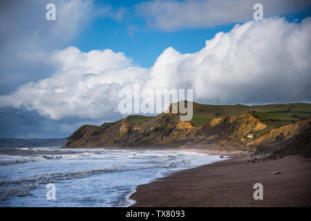 Dorset Coast par un beau jour d'hiver, à l'Ouest en direction de la baie de Lyme à partir de la Ruche beach Banque D'Images