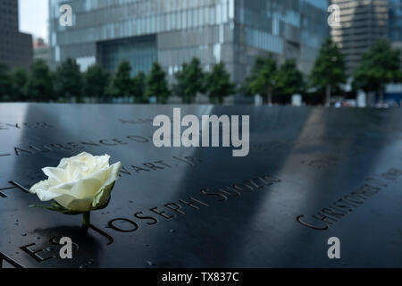 Une rose sur le Ground Zero Memorial à l'ombre de la One World Trade Center, New York, USA Banque D'Images
