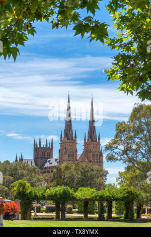 La Cathédrale St Mary de Hyde Park, Sydney, New South Wales, Australia Banque D'Images