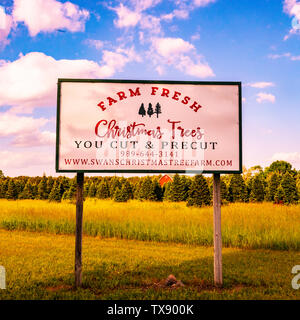 Vous Farm Fresh Cut Christmas tree farm business sign in Michigan, USA Banque D'Images