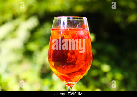Close up of red orange cocktail dans un verre de vin avec des cubes de glace contre les plantes vertes contexte Banque D'Images