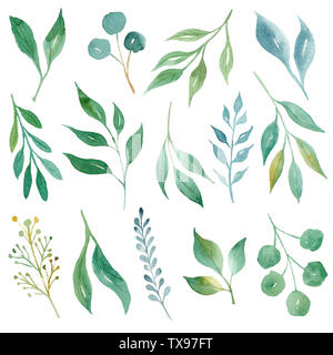 Feuilles vert aquarelle illustration raster dessiné à la main. Feuilles de laurier, de croissance des branches, des brindilles d'olive pack isolés. Feuillage peint à la main. L'été f Banque D'Images