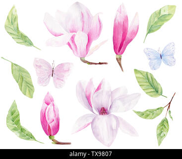Les fleurs et les feuilles à la main. illustrations tramées aquarelle Magnolia et papillons pack isolés. Pastel rose fleur. La flore de l'Est colorf Banque D'Images