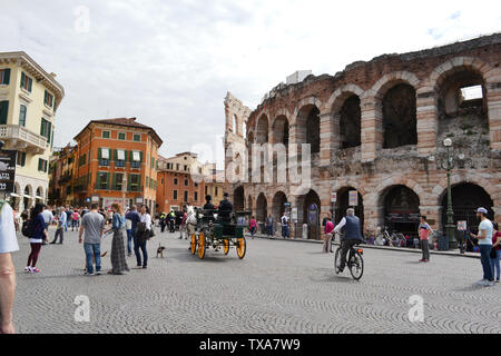 Vérone/Italie - 9 mai 2015 : Deux chevaux transport déménagement dans la Piazza Bra et Arena di Verona, la célèbre scène ouverte théâtre. Banque D'Images