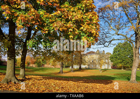 UK,South Yorkshire,Sheffield Hillsborough Park & Hall, Banque D'Images