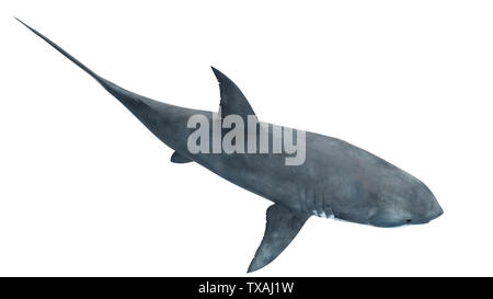 Rendu 3d illustration d'un grand requin blanc Banque D'Images