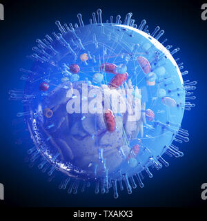 Médicalement en rendu 3d illustration exacte d'une cellule humaine Banque D'Images