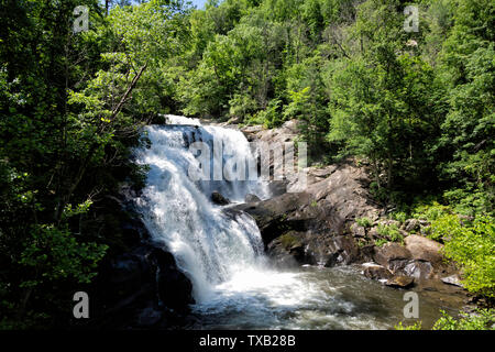 Chutes de la rivière chauve dans les Great Smoky Mountains Banque D'Images