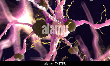 Médicalement en rendu 3d illustration précise de plaques amyloïdes sur une cellule nerveuse - la maladie d'alzheimer Banque D'Images